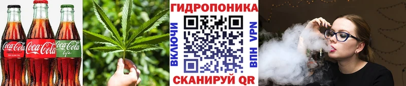 Canna-Cookies марихуана Малая Вишера