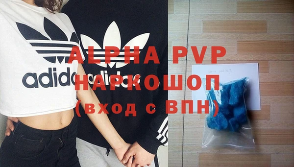 спиды Белокуриха