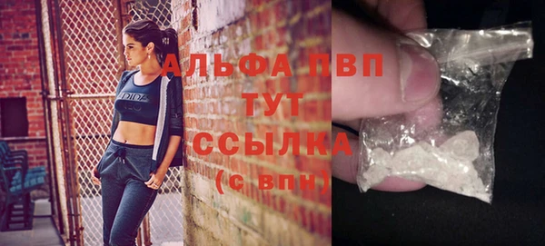 спиды Белокуриха