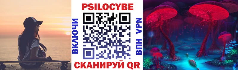 купить наркоту  Малая Вишера  Псилоцибиновые грибы GOLDEN TEACHER 